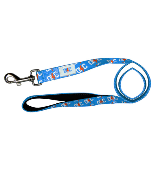 Bolt K Dog Leash